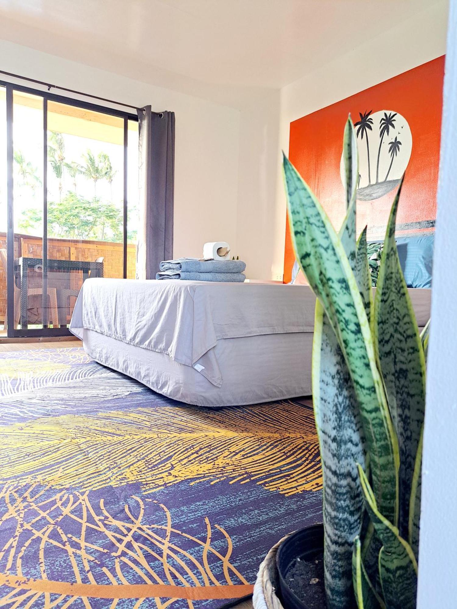 Bougainvillea Guesthouse サンフアン エクステリア 写真