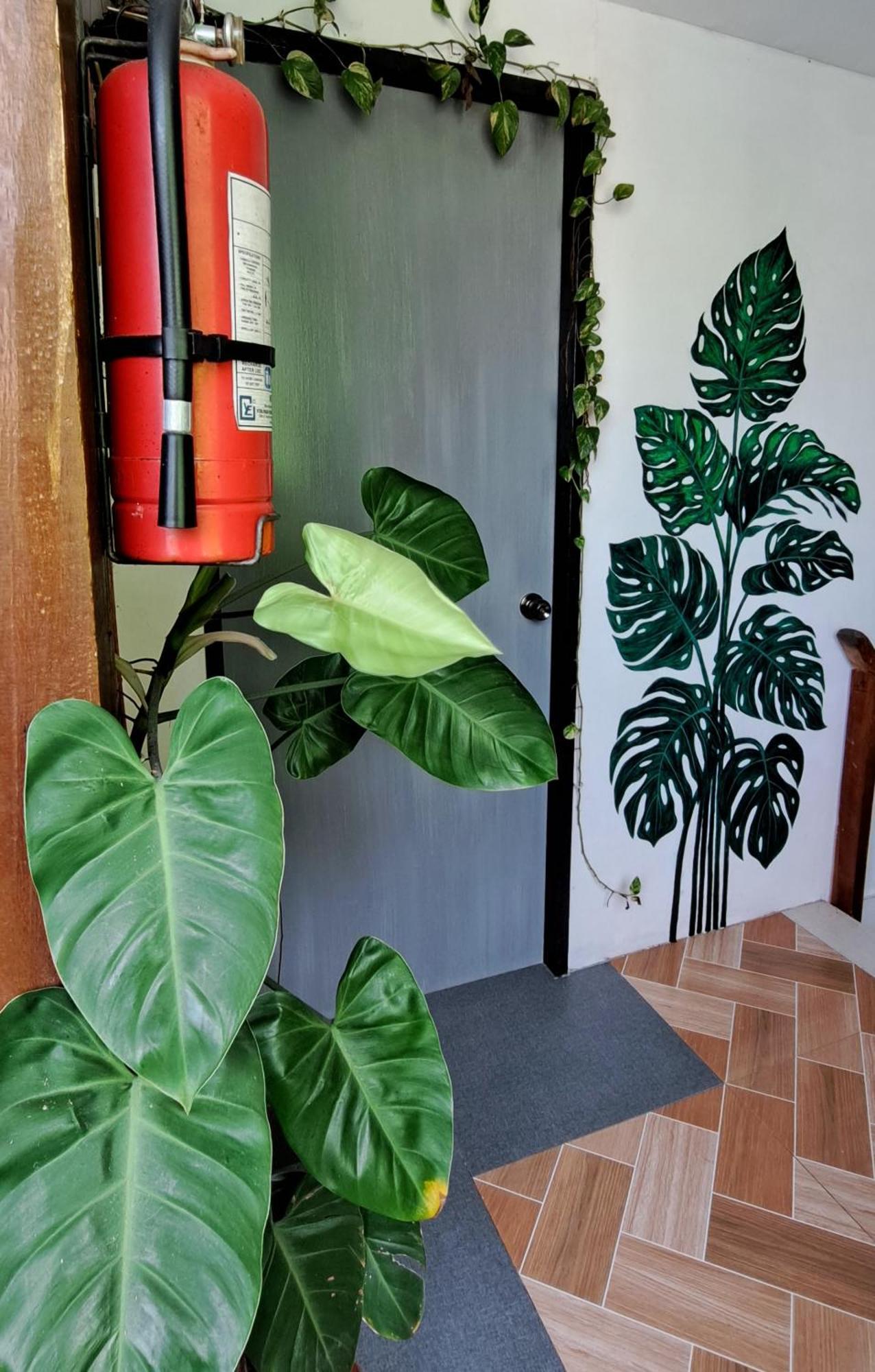 Bougainvillea Guesthouse サンフアン エクステリア 写真